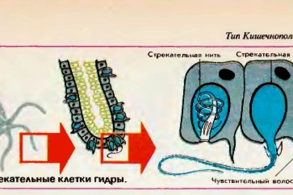 Кракен онион сайт io