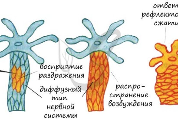 Официальный сайт кракен тор