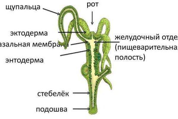 Кракен тор зеркало