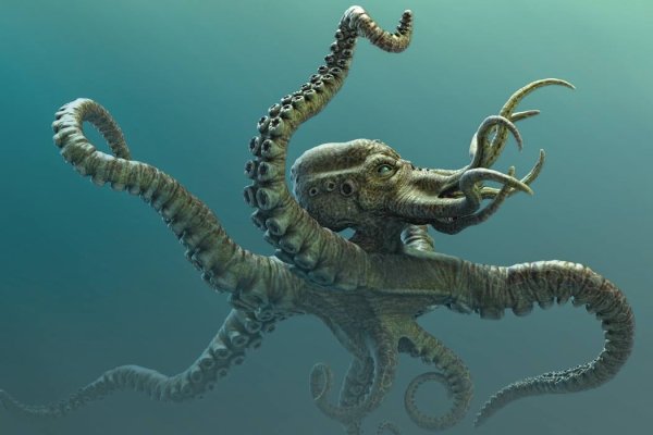 Kraken 13 at