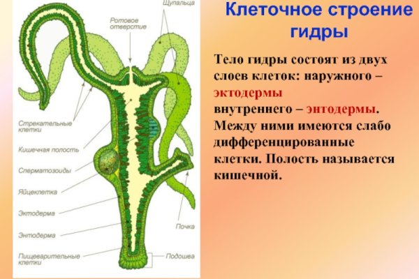 Кракен сайт 14