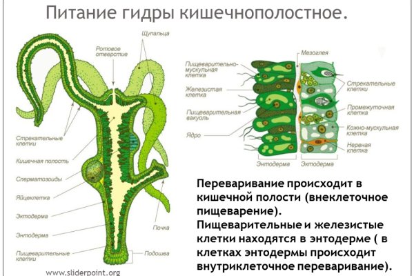 Магазин kraken даркнет