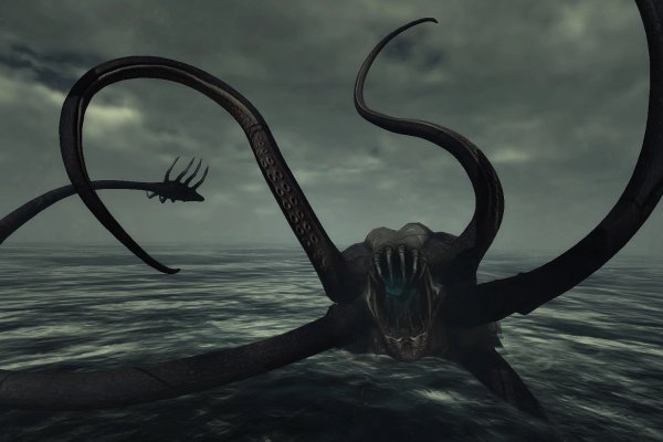 Kraken найдется все